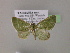 ( - BC ZSM Lep 06242)  @13 [ ] CreativeCommons - Attribution Non-Commercial Share-Alike (2010) Unspecified SNSB, Zoologische Staatssammlung Muenchen