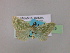  ( - BC ZSM Lep 06245)  @12 [ ] CreativeCommons - Attribution Non-Commercial Share-Alike (2010) Unspecified SNSB, Zoologische Staatssammlung Muenchen