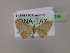  ( - BC ZSM Lep 06246)  @13 [ ] CreativeCommons - Attribution Non-Commercial Share-Alike (2010) Unspecified SNSB, Zoologische Staatssammlung Muenchen
