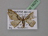  ( - BC ZSM Lep 19372)  @13 [ ] CreativeCommons - Attribution Non-Commercial Share-Alike (2010) Unspecified SNSB, Zoologische Staatssammlung Muenchen