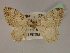  ( - BC ZSM Lep 19457)  @12 [ ] CreativeCommons - Attribution Non-Commercial Share-Alike (2010) Unspecified SNSB, Zoologische Staatssammlung Muenchen