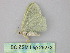  ( - BC ZSM Lep 26272)  @12 [ ] CreativeCommons - Attribution Non-Commercial Share-Alike (2010) Unspecified SNSB, Zoologische Staatssammlung Muenchen