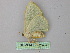  ( - BC ZSM Lep 26276)  @12 [ ] CreativeCommons - Attribution Non-Commercial Share-Alike (2010) Unspecified SNSB, Zoologische Staatssammlung Muenchen