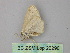  ( - BC ZSM Lep 26290)  @12 [ ] CreativeCommons - Attribution Non-Commercial Share-Alike (2010) Unspecified SNSB, Zoologische Staatssammlung Muenchen