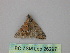  ( - BC ZSM Lep 26297)  @12 [ ] CreativeCommons - Attribution Non-Commercial Share-Alike (2010) Unspecified SNSB, Zoologische Staatssammlung Muenchen