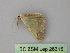  ( - BC ZSM Lep 26315)  @13 [ ] CreativeCommons - Attribution Non-Commercial Share-Alike (2010) Unspecified SNSB, Zoologische Staatssammlung Muenchen