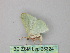  ( - BC ZSM Lep 26324)  @12 [ ] CreativeCommons - Attribution Non-Commercial Share-Alike (2010) Unspecified SNSB, Zoologische Staatssammlung Muenchen