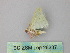  ( - BC ZSM Lep 26337)  @12 [ ] CreativeCommons - Attribution Non-Commercial Share-Alike (2010) Unspecified SNSB, Zoologische Staatssammlung Muenchen