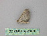  ( - BC ZSM Lep 26346)  @12 [ ] CreativeCommons - Attribution Non-Commercial Share-Alike (2010) Unspecified SNSB, Zoologische Staatssammlung Muenchen