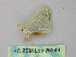  ( - BC ZSM Lep 26349)  @12 [ ] CreativeCommons - Attribution Non-Commercial Share-Alike (2010) Unspecified SNSB, Zoologische Staatssammlung Muenchen