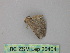  ( - BC ZSM Lep 26404)  @12 [ ] CreativeCommons - Attribution Non-Commercial Share-Alike (2010) Unspecified SNSB, Zoologische Staatssammlung Muenchen