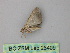  ( - BC ZSM Lep 26409)  @12 [ ] CreativeCommons - Attribution Non-Commercial Share-Alike (2010) Unspecified SNSB, Zoologische Staatssammlung Muenchen