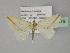  ( - BC ZSM Lep 27679)  @13 [ ] CreativeCommons - Attribution Non-Commercial Share-Alike (2010) Unspecified SNSB, Zoologische Staatssammlung Muenchen