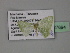  (Comostola AH02Tz - BC ZSM Lep 27694)  @13 [ ] CreativeCommons - Attribution Non-Commercial Share-Alike (2010) Unspecified SNSB, Zoologische Staatssammlung Muenchen