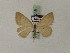  ( - BC PG Lep 0046)  @11 [ ] Copyright (2010) Unspecified Research Collection of Gergely Petranyi
