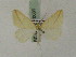  ( - BC PG Lep 0089)  @13 [ ] Copyright (2010) Unspecified Research Collection of Gergely Petranyi