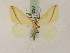  ( - BC PG Lep 0090)  @14 [ ] Copyright (2010) Unspecified Research Collection of Gergely Petranyi