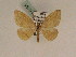  ( - BC PG Lep 0191)  @13 [ ] Copyright (2010) Unspecified Research Collection of Gergely Petranyi