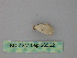  (Scopula AH01In - BC ZSM Lep 26562)  @12 [ ] CreativeCommons - Attribution Non-Commercial Share-Alike (2010) Unspecified SNSB, Zoologische Staatssammlung Muenchen