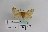  ( - BC JM 0028)  @13 [ ] Unspecified (default): All Rights Reserved  Unspecified Unspecified