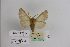  ( - BC JM 0030)  @11 [ ] Unspecified (default): All Rights Reserved  Unspecified Unspecified