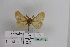  ( - BC JM 0037)  @12 [ ] Unspecified (default): All Rights Reserved  Unspecified Unspecified