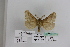  ( - BC JM 0050)  @12 [ ] Unspecified (default): All Rights Reserved  Unspecified Unspecified