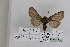  (Lemonia GM02Al - BC JM 0062)  @12 [ ] Unspecified (default): All Rights Reserved  Unspecified Unspecified