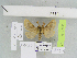  (Lemonia GM05 - BC JM 0119)  @13 [ ] Unspecified (default): All Rights Reserved  Unspecified Unspecified
