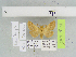  ( - BC JM 0152)  @11 [ ] Unspecified (default): All Rights Reserved  Unspecified Unspecified