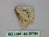  ( - BC ZSM Lep 26749)  @12 [ ] CreativeCommons - Attribution Non-Commercial Share-Alike (2010) Unspecified SNSB, Zoologische Staatssammlung Muenchen
