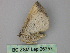 ( - BC ZSM Lep 26757)  @12 [ ] CreativeCommons - Attribution Non-Commercial Share-Alike (2010) Unspecified SNSB, Zoologische Staatssammlung Muenchen