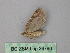 ( - BC ZSM Lep 26760)  @12 [ ] CreativeCommons - Attribution Non-Commercial Share-Alike (2010) Unspecified SNSB, Zoologische Staatssammlung Muenchen