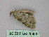  ( - BC ZSM Lep 26803)  @12 [ ] CreativeCommons - Attribution Non-Commercial Share-Alike (2010) Unspecified SNSB, Zoologische Staatssammlung Muenchen