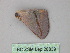  ( - BC ZSM Lep 26839)  @13 [ ] CreativeCommons - Attribution Non-Commercial Share-Alike (2010) Unspecified SNSB, Zoologische Staatssammlung Muenchen