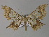  ( - BC ZSM Lep 26873)  @14 [ ] CreativeCommons - Attribution Non-Commercial Share-Alike (2010) Unspecified SNSB, Zoologische Staatssammlung Muenchen