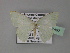  (Comostola leucostictaAH02Bu - BC ZSM Lep 27482)  @13 [ ] CreativeCommons - Attribution Non-Commercial Share-Alike (2010) Unspecified SNSB, Zoologische Staatssammlung Muenchen