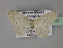  (Scopula AH02Bu - BC ZSM Lep 27502)  @13 [ ] CreativeCommons - Attribution Non-Commercial Share-Alike (2010) Unspecified SNSB, Zoologische Staatssammlung Muenchen