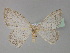 ( - BC ZSM Lep 27518)  @11 [ ] CreativeCommons - Attribution Non-Commercial Share-Alike (2010) Unspecified SNSB, Zoologische Staatssammlung Muenchen