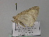  ( - BC ZSM Lep 27564)  @12 [ ] CreativeCommons - Attribution Non-Commercial Share-Alike (2010) Unspecified SNSB, Zoologische Staatssammlung Muenchen