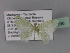  ( - BC ZSM Lep 27696)  @12 [ ] CreativeCommons - Attribution Non-Commercial Share-Alike (2010) Unspecified SNSB, Zoologische Staatssammlung Muenchen
