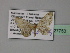  ( - BC ZSM Lep 27753)  @12 [ ] CreativeCommons - Attribution Non-Commercial Share-Alike (2010) Unspecified SNSB, Zoologische Staatssammlung Muenchen