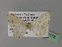  (Scopula AH04Tz - BC ZSM Lep 27778)  @13 [ ] CreativeCommons - Attribution Non-Commercial Share-Alike (2010) Unspecified SNSB, Zoologische Staatssammlung Muenchen