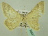  ( - BC ZSM Lep 33887)  @12 [ ] CreativeCommons - Attribution Non-Commercial Share-Alike (2010) Unspecified SNSB, Zoologische Staatssammlung Muenchen