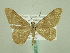  ( - BC ZSM Lep 33888)  @12 [ ] CreativeCommons - Attribution Non-Commercial Share-Alike (2010) Unspecified SNSB, Zoologische Staatssammlung Muenchen