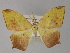 ( - BC ZSM Lep 29281)  @11 [ ] CreativeCommons - Attribution Non-Commercial Share-Alike (2010) Unspecified SNSB, Zoologische Staatssammlung Muenchen