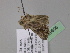  ( - BC ZSM Lep 29606)  @13 [ ] CreativeCommons - Attribution Non-Commercial Share-Alike (2010) Unspecified SNSB, Zoologische Staatssammlung Muenchen