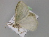  ( - BC ZSM Lep 29652)  @13 [ ] CreativeCommons - Attribution Non-Commercial Share-Alike (2010) Unspecified SNSB, Zoologische Staatssammlung Muenchen