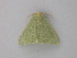  ( - BC ZSM Lep 32253)  @14 [ ] CreativeCommons - Attribution Non-Commercial Share-Alike (2010) Unspecified SNSB, Zoologische Staatssammlung Muenchen