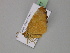  (Docirava AH01Ch - BC ZSM Lep 29877)  @12 [ ] CreativeCommons - Attribution Non-Commercial Share-Alike (2010) Unspecified SNSB, Zoologische Staatssammlung Muenchen